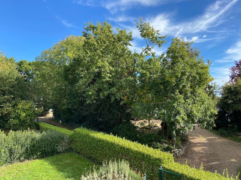 Superbe Appartement Terrasse, Proche De La Plage Bénodet Εξωτερικό φωτογραφία